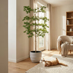 





Kunstplant Bucida | 200cm - Afbeelding 4
 thumbnail