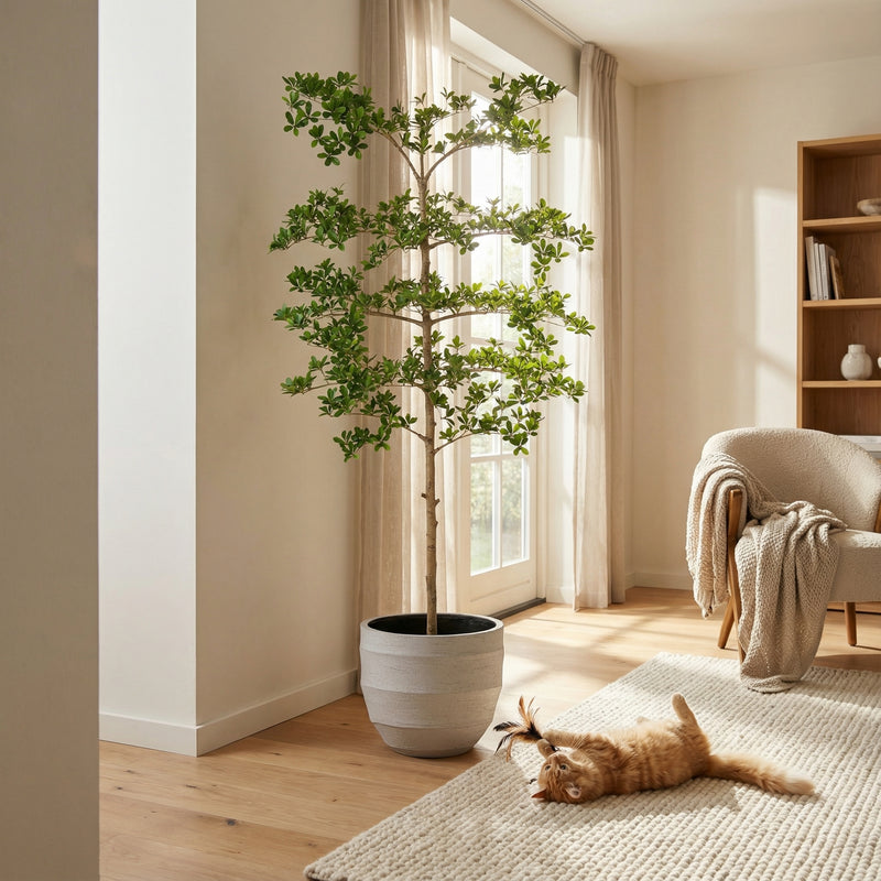 





Kunstplant Bucida | 200cm - Afbeelding 4
