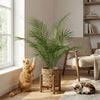 Kunstplant Kentia | 67cm