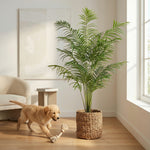 





Kunstplant Kentia Palm | 170cm - Afbeelding 6
 thumbnail