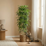 





Kunstplant Bamboe | 150cm - Afbeelding 5
 thumbnail