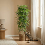 





Home Office Set | Complete Kantoor Kunstplanten Bundel - Afbeelding 7
 thumbnail
