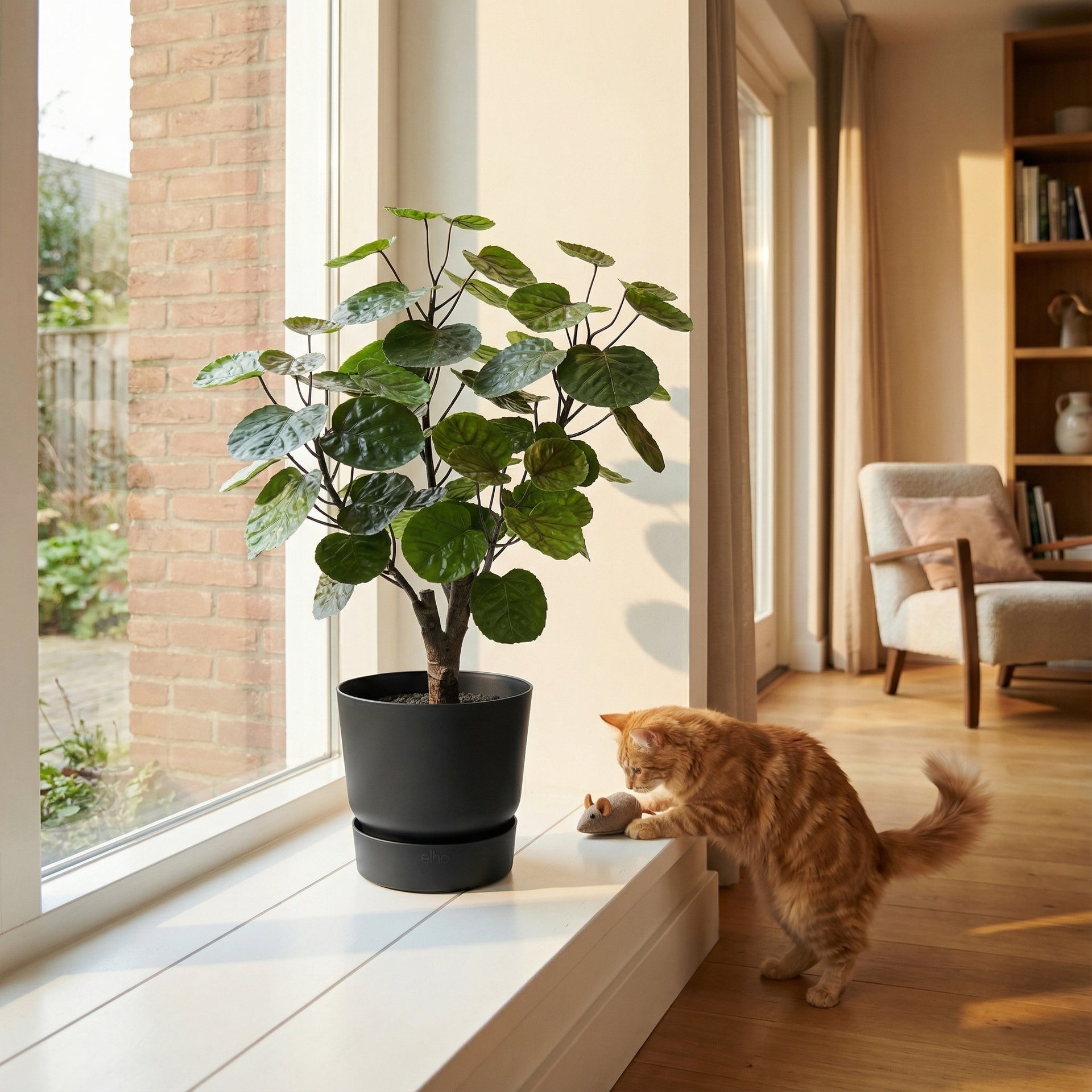 





Kunstplant Aralia | 53cm - Afbeelding 7
