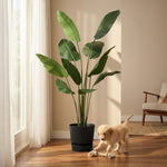 





Kunstplant Strelitzia | 182cm - Afbeelding 4
 thumbnail