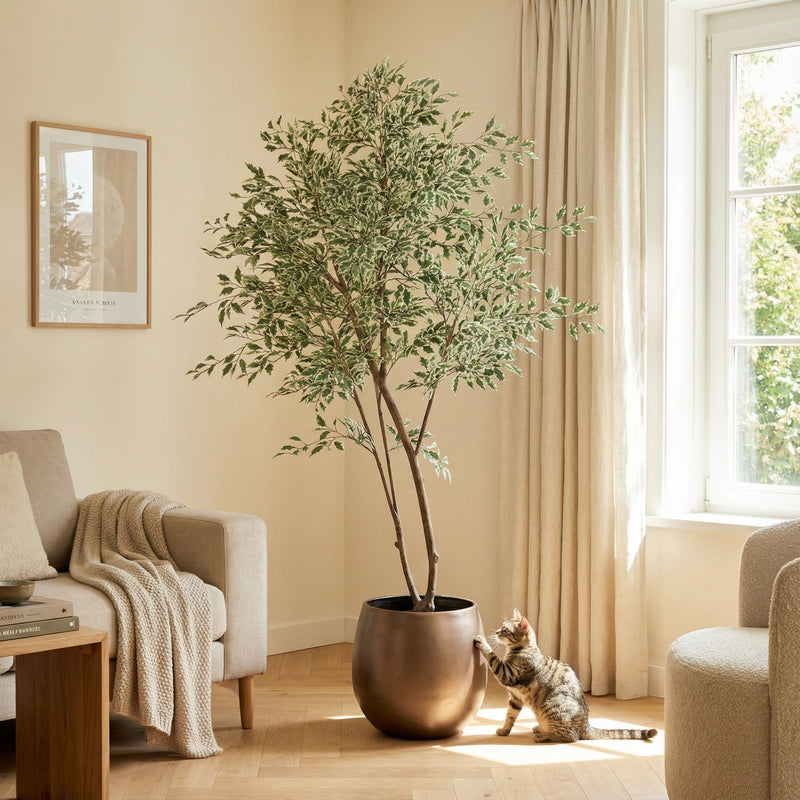 





Kunstpflanze Ficus Benjamina Variegata | 185cm - Afbeelding 5
