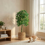 





Kunstplant Pachira | 150cm - Afbeelding 7
 thumbnail