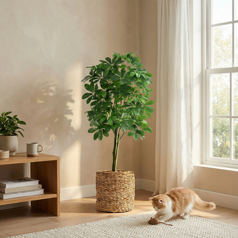 





Kunstplant Pachira | 150cm - Afbeelding 7
