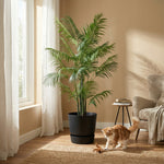 





Kunstpflanze Areca | 190cm - Afbeelding 4
 thumbnail