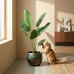 





Pianta Artificiale Strelitzia | 135cm - Afbeelding 4
 thumbnail