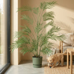 





Kunstplant Areca | 122cm - Afbeelding 5
 thumbnail