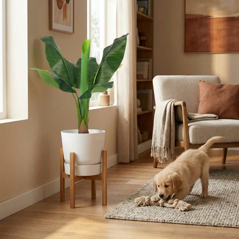 





Pianta Artificiale Bananenplant | 80cm - Afbeelding 5
