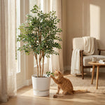 





Pianta Artificiale Ficus Exotica | 150cm - Afbeelding 6
 thumbnail