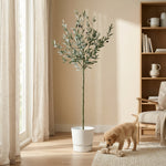 





Kunstplant Olijfboom | 150cm - Afbeelding 4
 thumbnail