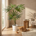 





Pianta Artificiale Rhapis | 120cm - Afbeelding 4
 thumbnail