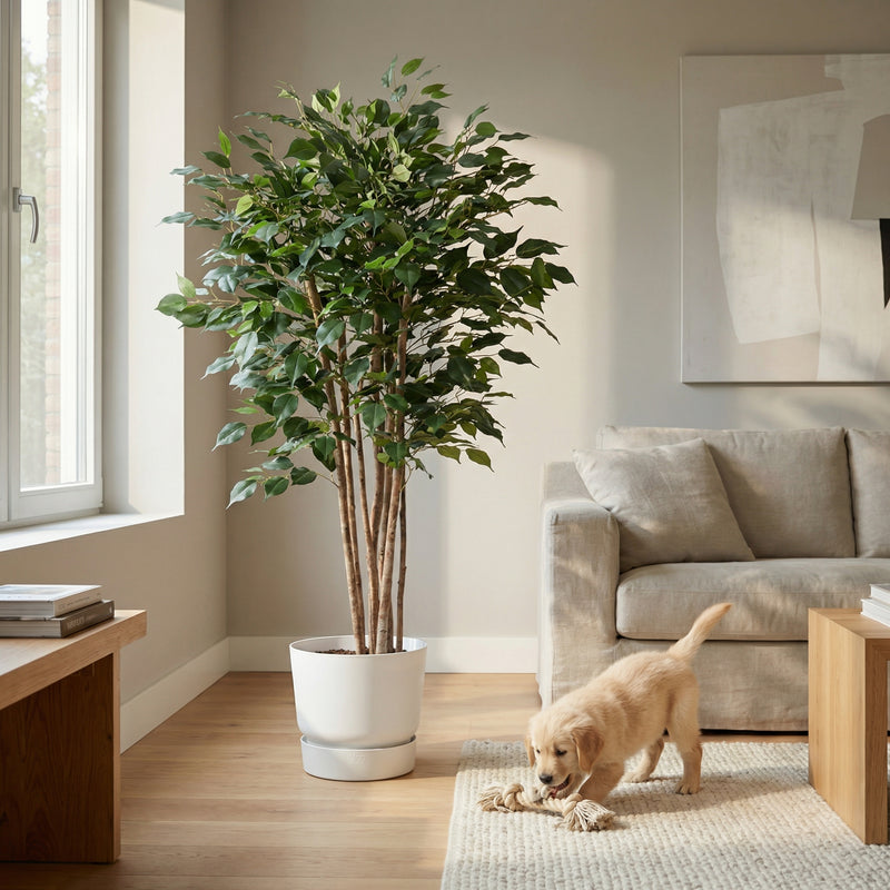 





Kunstplant Ficus Benjamina | 150cm - Afbeelding 4
