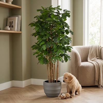 Kunstplant Eik | 170cm