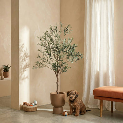Kunstplant Olijfboom | 172cm