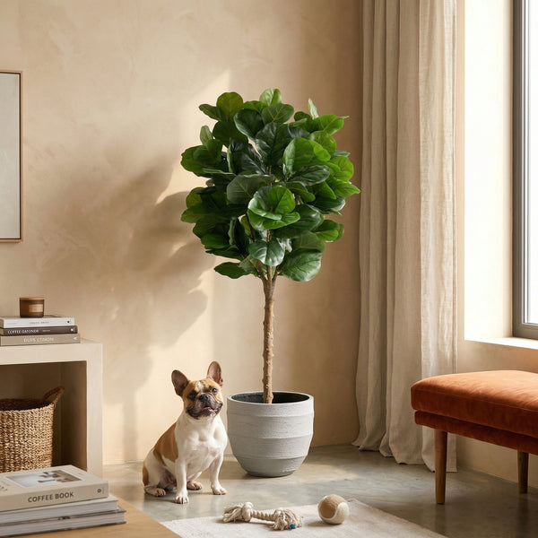 Kunstplant Ficus Lyrata | 160cm — primer plano tronco de madera real