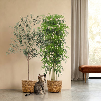 Entree Kunstplanten Set | Welkom Kunstplanten Set