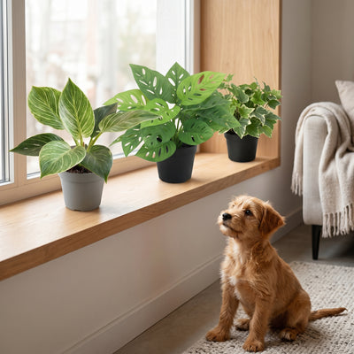 Green Starter | Kunstplanten Kennismakingsset