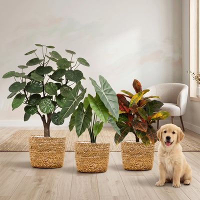 Groene Trio | Kunstplanten Set A