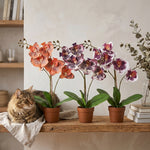 





Orchideen-Strauß | Kunstblumen-Mix - Lifestyle foto kunstplant in interieur
 thumbnail