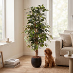 





Kunstplant Ficus Benjamina | 130cm - Detail view kunstplant
 thumbnail