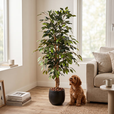 Kunstplant Ficus Benjamina | 130cm