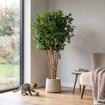 





Kunstplant Ficus Benjamina Meerstammig | 180cm - Lifestyle foto kunstplant in interieur
 thumbnail