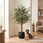 





Kunstig Ficus Cassia | 150cm - Afbeelding 5
 thumbnail