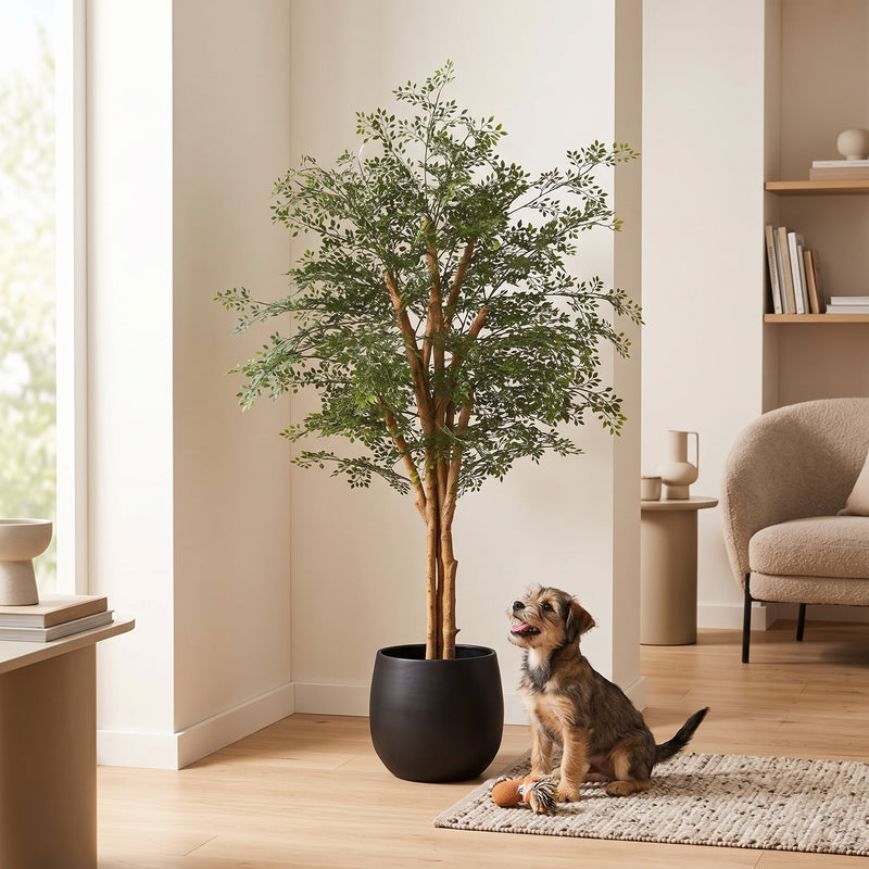 





Kunstig Ficus Cassia | 150cm - Afbeelding 5
