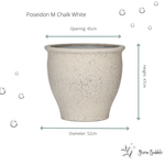 





Poseidon-potte - Lifestyle foto kunstplant in interieur
 thumbnail