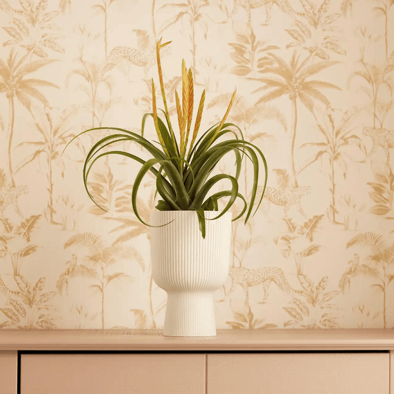 





Pot Elho Vibes Fold Coupe wit - Detail view kunstplant
