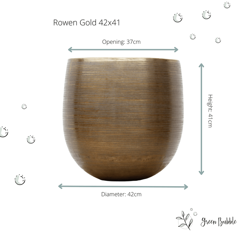 





Rowen gold - Afbeelding 7
