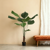 Umelá Rastlina Licuala Waaierpalm | 180cm