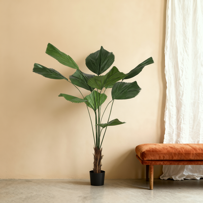 Kunstplant Licuala Waaierpalm | 180cm