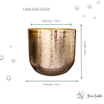 





Pot Carly Gold - Lifestyle foto kunstplant in interieur
 thumbnail