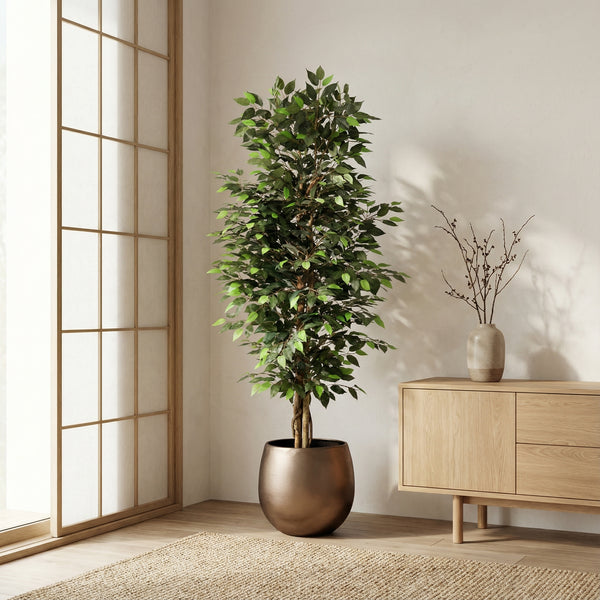 Kunstplant Ficus Benjamina | 180cm — primo piano tronco di legno vero