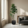 Kunstplant Ficus Lyrata Vertakt | 150cm