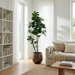 





Kunstplant Ficus Lyrata Vertakt | 150cm - Afbeelding 4
 thumbnail