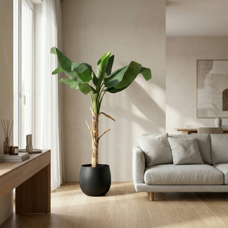 





Kunstplant Bananenplant | 150cm - Afbeelding 5
