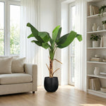 





Kunstplant Bananenplant | 150cm - Afbeelding 4
 thumbnail