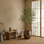 





Kunstplant Ficus Cassia | 180cm - Afbeelding 5
 thumbnail