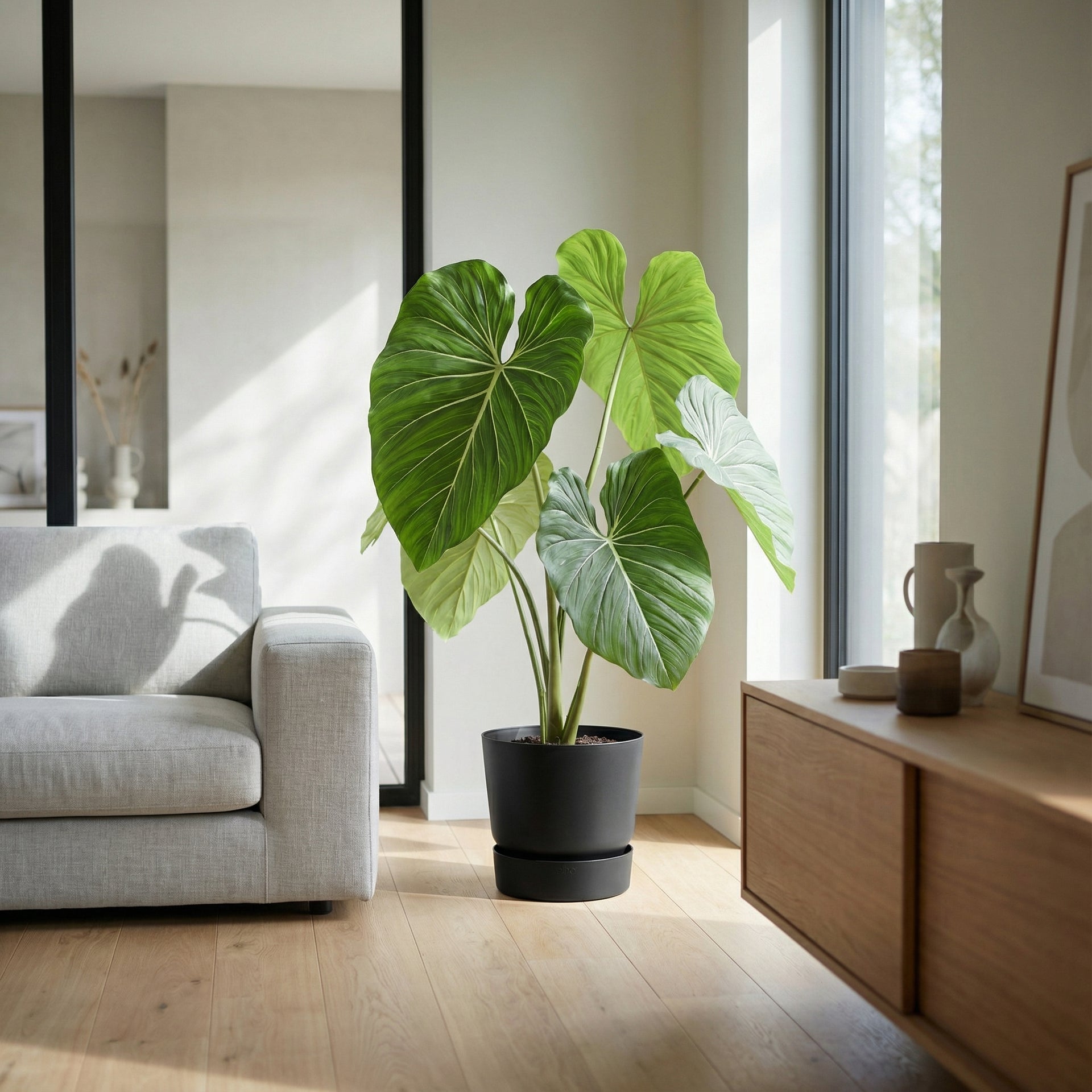 





Kunstplant Philodendron | 103cm - Afbeelding 7
