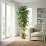 





Kunstplant Bamboe | 180cm - Lifestyle foto kunstplant in interieur
 thumbnail