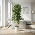 





Kunstplant Bamboe | 150cm - Afbeelding 7
 thumbnail