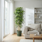 





Kunstplant Bamboe | 150cm - Afbeelding 6
 thumbnail