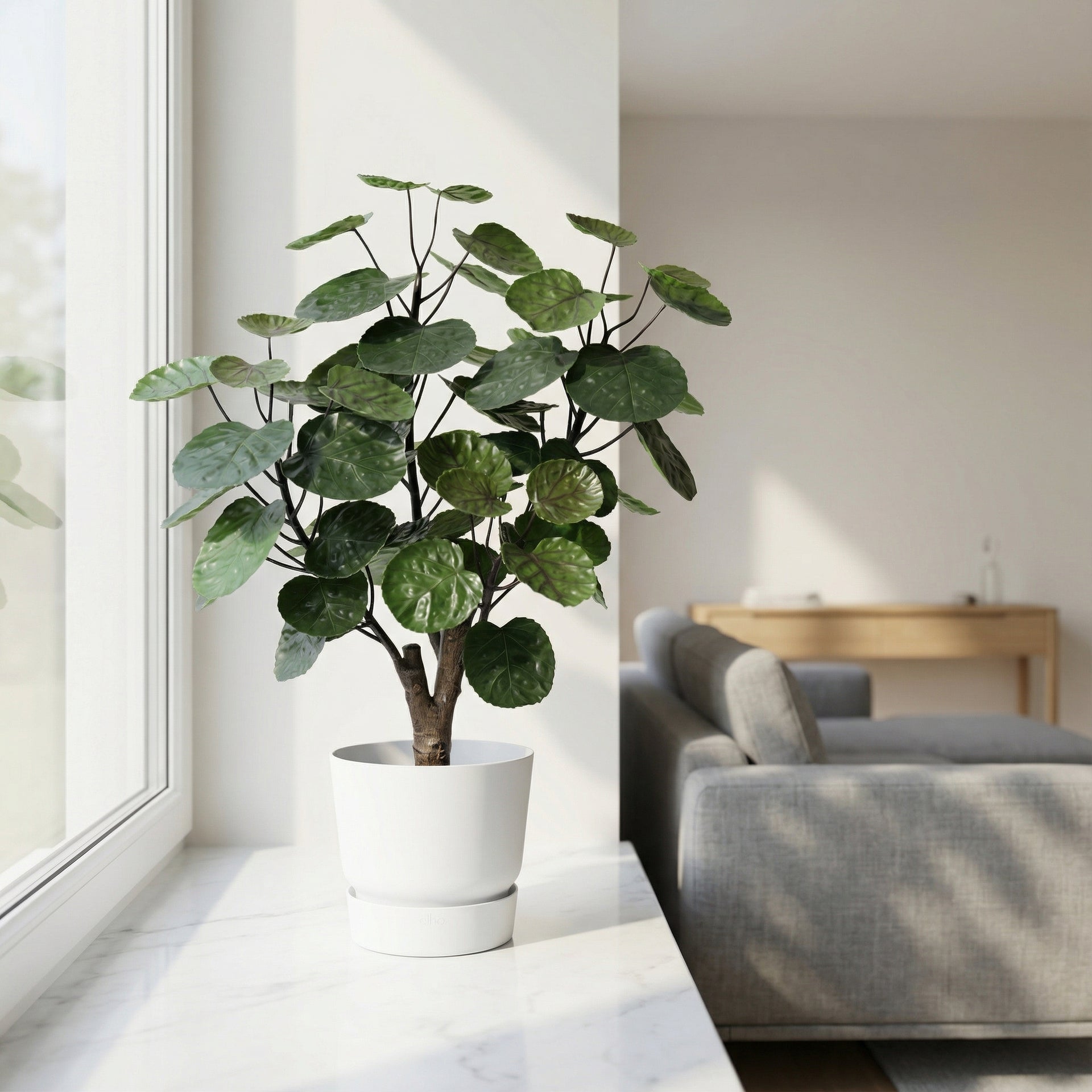 





Kunstplant Aralia | 53cm - Afbeelding 4
