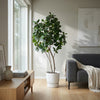 Kunstplant Ficus Lyrata XL | 180cm