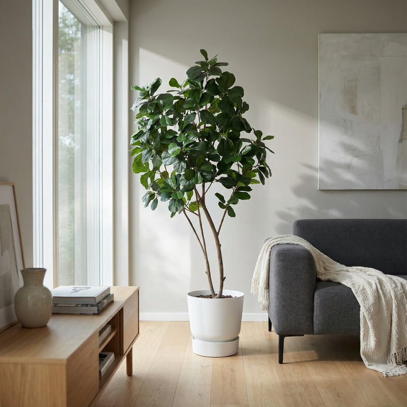 





Kunstplant Ficus Lyrata XL | 180cm - Afbeelding 6
